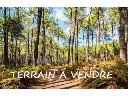 vente terrain 603 m² vielle-saint-girons (40560)