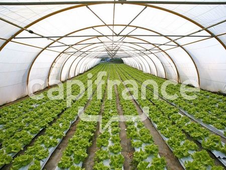 terrain agricole 40 174 m²