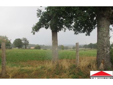 vente terrain 2000 m² saint-junien (87200)