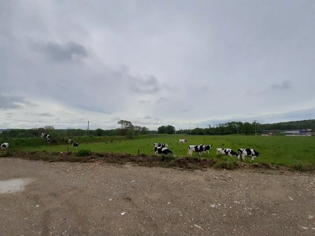 terrain à bâtir à retzwiller (68210)