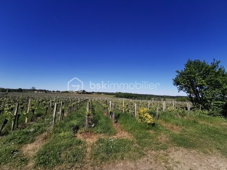 terrain à belves-de-castillon