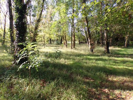 terrain de 1 530 m² à colayrac-saint-cirq