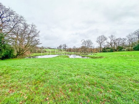 terrain de 10 000 m² à plumergat