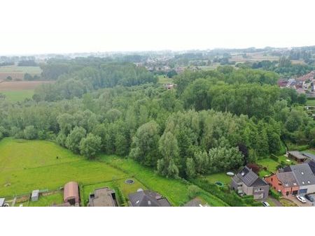 forêt de 11 200 m² à denderhoutem (haaltert)