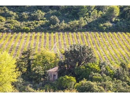habitation:rncette propriété viticole ne comporte pas de maison vigneronne. seuls deux log