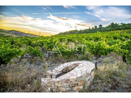 propriété à vendre à saint-chinian