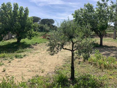 vente terrain 1000 m²