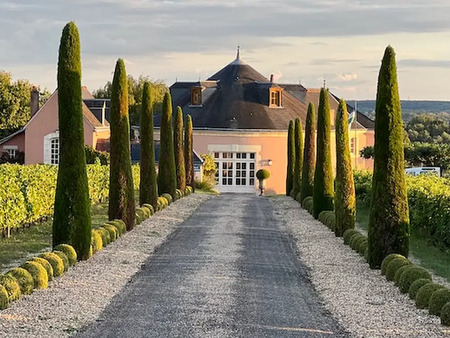 propriété avec piscine et jardin vouvray (37)