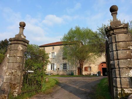 grande maison vosgienne + gîte + théâtre à vendre