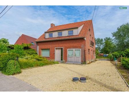 maison individuelle à vendre à hollebeke sur 2 807m²