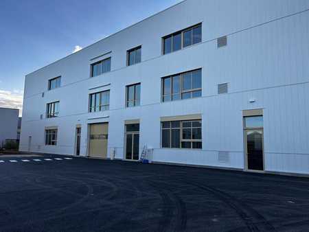 location d'entrepôt de 1 768 m² à vaulx-en-velin - 69120