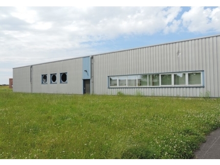 location d'entrepôt de 600 m² à walincourt-selvigny - 59127