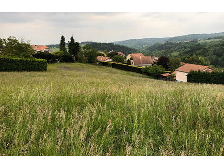 vente terrain 1100 m² bard (42600)