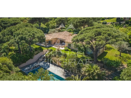 villa avec piscine ramatuelle (83)