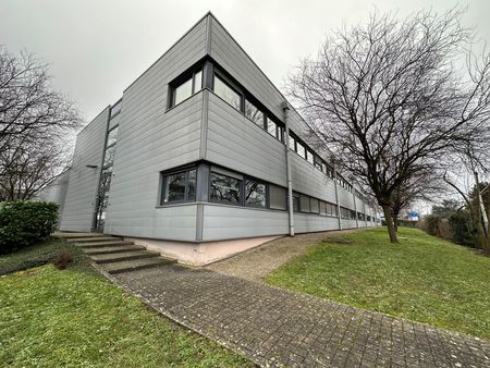 entrepôt à acheter de 3 478 m² à illkirch-graffenstaden - 67400