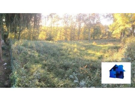 terrain 2894 m² montbouy