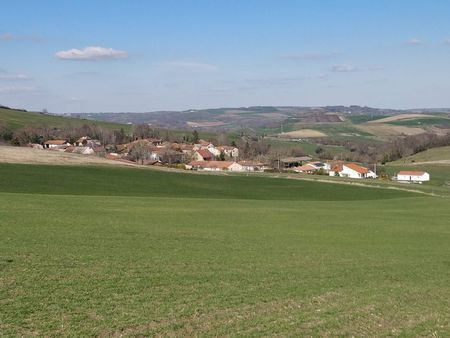 terres agricoles