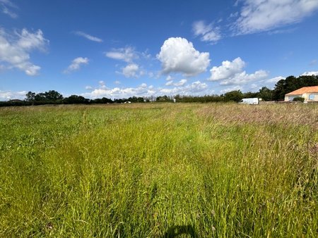 terrain à bâtir à longeville-sur-mer (85560)