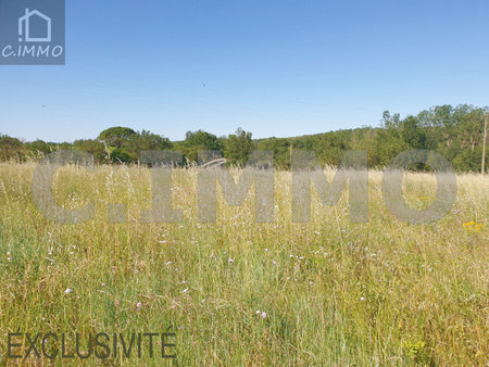 joli terrain agricole de 11 305 m² avec puits de forage