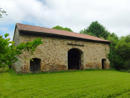 cette propriété a du potentiel  maison à rénover et bâtisse en pierre au pied d’un château