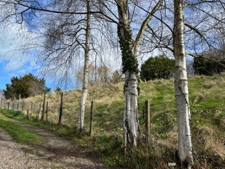 terrain à bâtir à saint-valery-en-caux (76460)