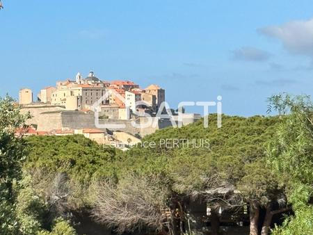 le domaine enchanté de calvi   panorama citadelle