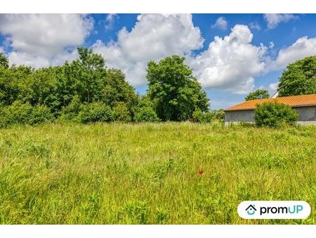 vente terrain 555 m²