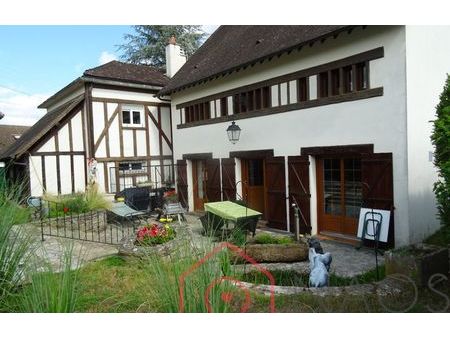 vente maison 5 pièces 234 m² souesmes (41300)