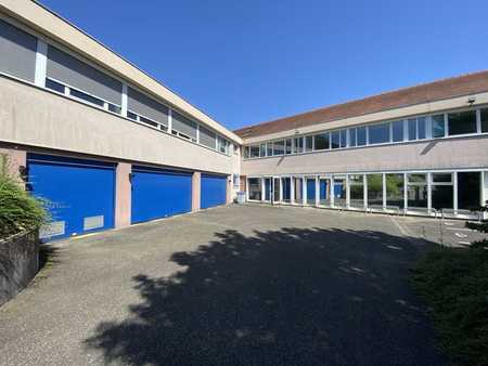 location d'entrepôt de 1 154 m² à plobsheim - 67115