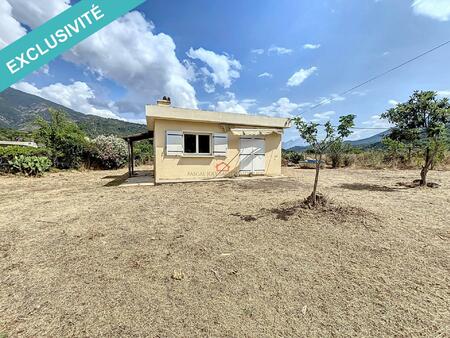 maison de campagne carbuccia avec terrain plat.