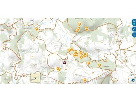 terrain 46589 m² janaillat