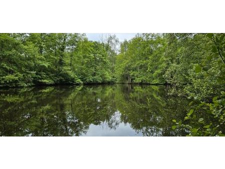 propriété de 1 6 ha comprenant étang et bois
