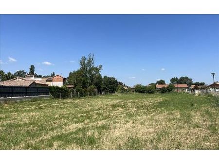 terrain 605 m² lavaur