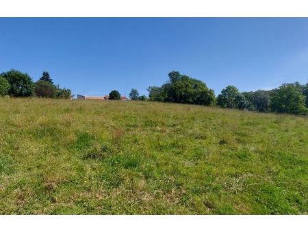 vente terrain 7629 m² saint-christophe-du-ligneron (85670)