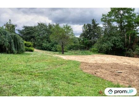 vente terrain 1186 m² pechbusque (31320)