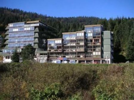 appartement la bresse hohneck