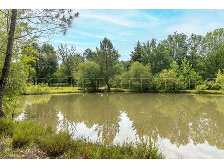 dordogne propriete perigourdine 4 ha etang chalets