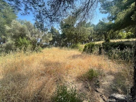 vente terrain à batir