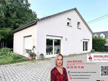 maison de 136 m² habitables à herrlisheim sur un terrain de 4 59 ares