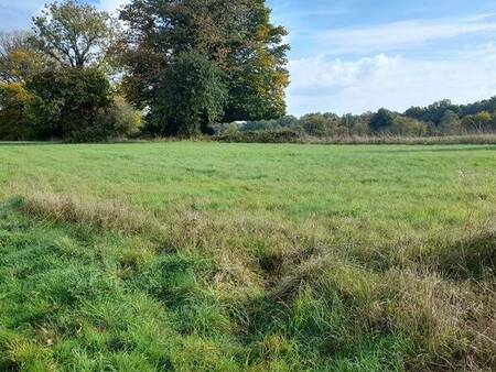 a vendre terrain à bâtir de 1468 m2 sur la commune de sévigny la forêt