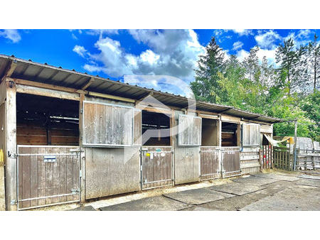 ecurie maison carriere manege cavalerie piscine exterieure couverte - vy les rupt