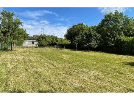 vente terrain 1249 m² rieux (60870)