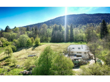 résidence isolée et appartement en bauges à vendre  entièrement privé avec 3 hectares de t