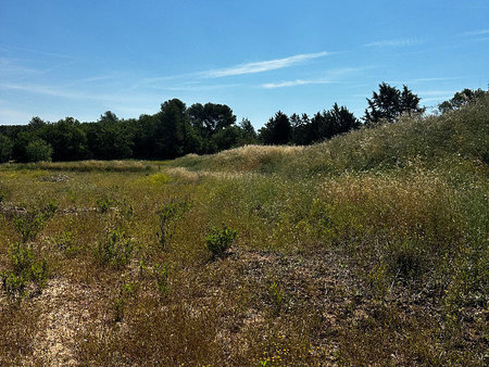 terrain à bâtir à peynier (13790)