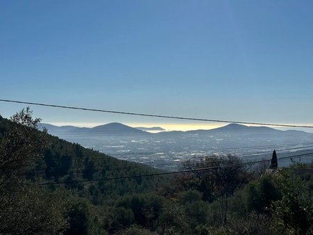 terrain à bâtir à solliès-ville (83210)