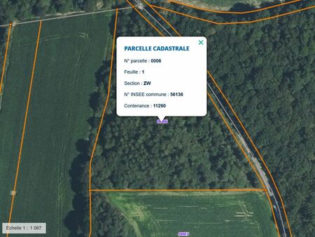 jolie parcelle de terrain boisé dans le morbihan 1 20euro/m²