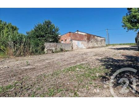 vente terrain 1250 m² bégadan (33340)