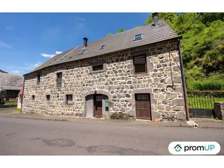 vente maison 11 pièces 280 m² rochefort-montagne (63210)