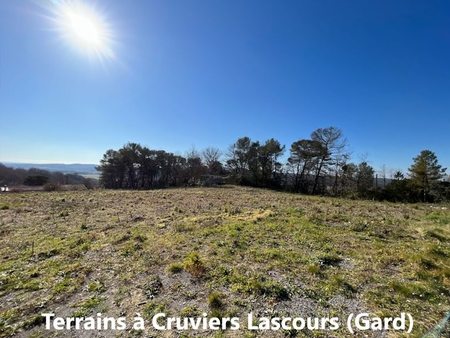 vente terrain 333 m²