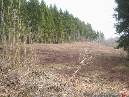 terrain à vendre saint-dié-des-vosges